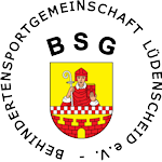 BSG-Logo
