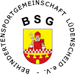 Logo BSG Startseite